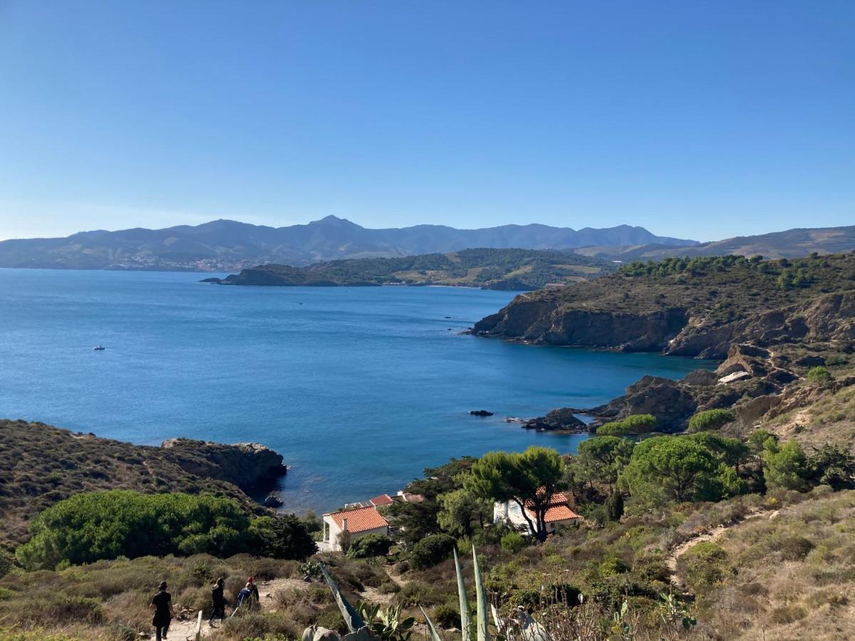 Villa De Charme A 1 Minute De La Plage A Pied Banyuls-sur-Mer Dış mekan fotoğraf
