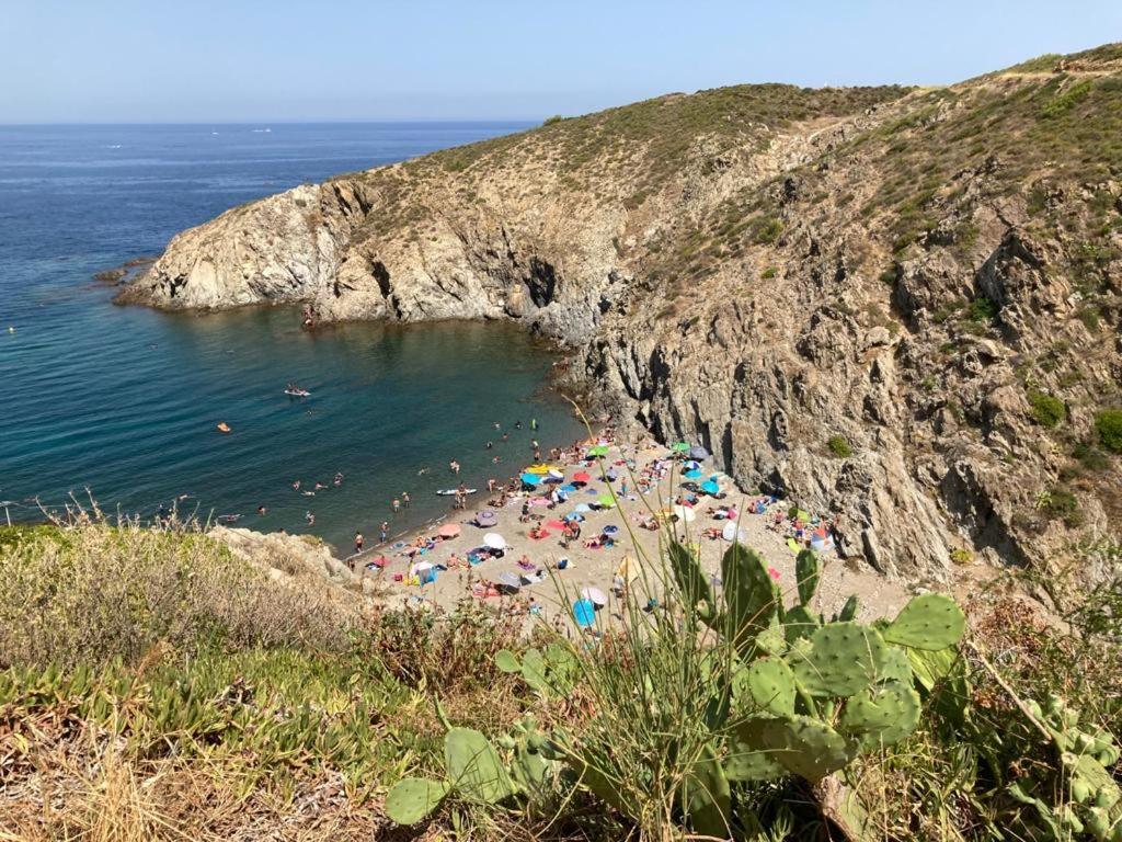 Villa De Charme A 1 Minute De La Plage A Pied Banyuls-sur-Mer Dış mekan fotoğraf
